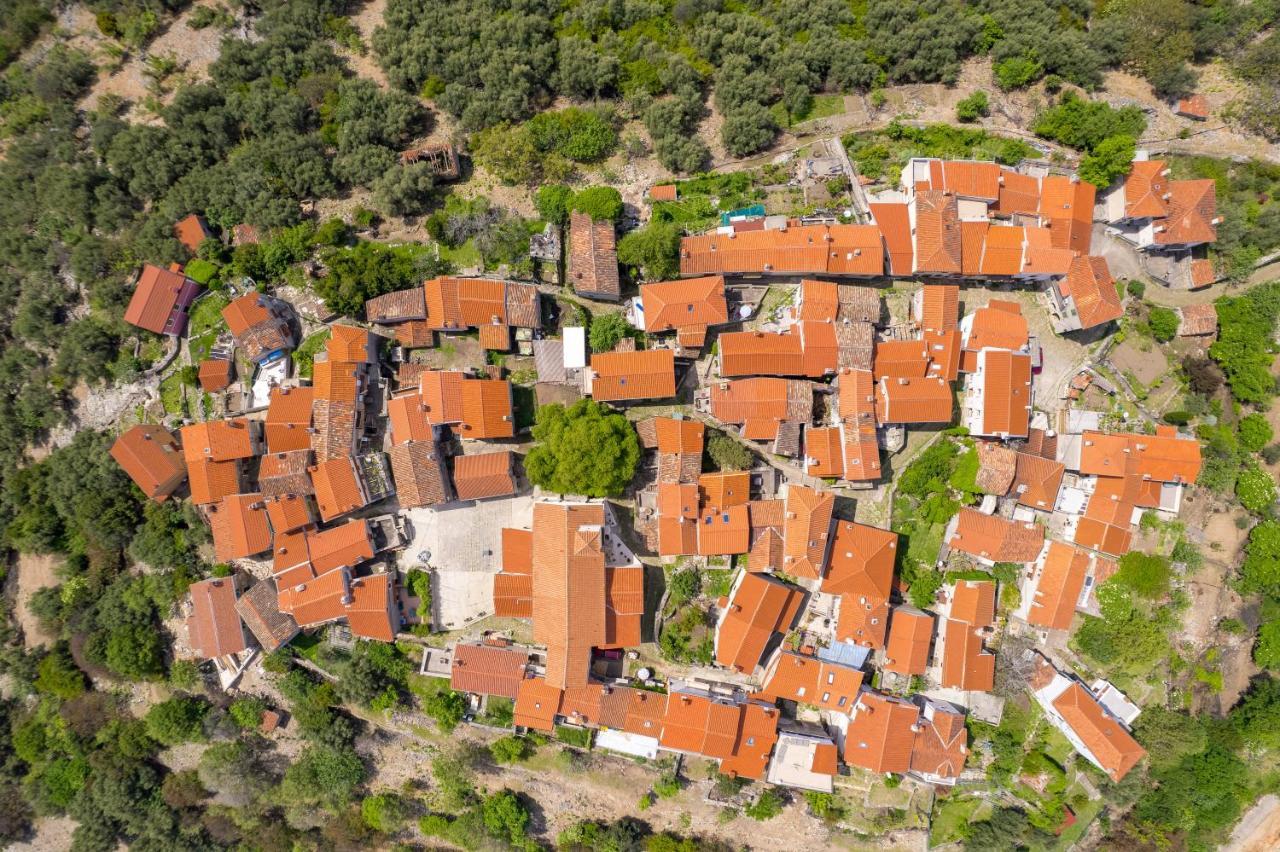 Mediterranean House Markoc New Renovated! Beli Εξωτερικό φωτογραφία